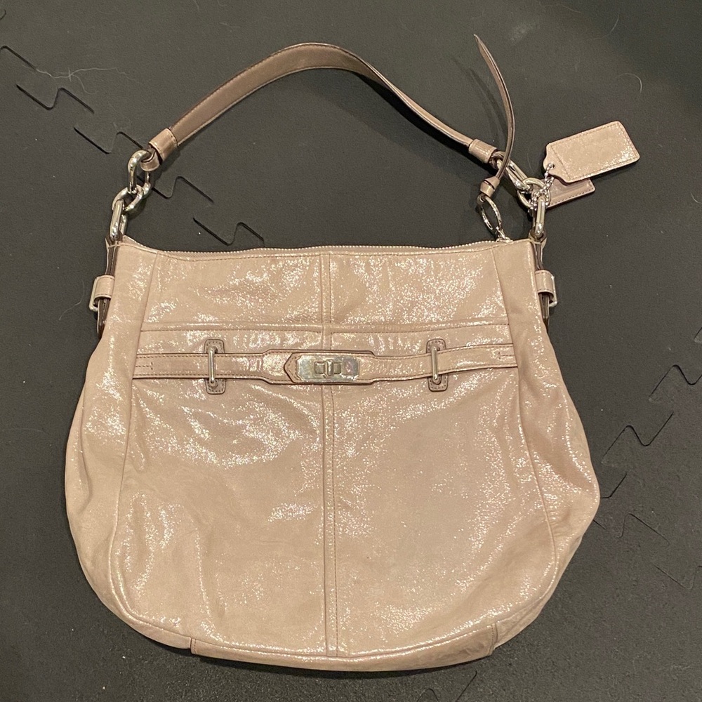 Shimmery Chelsea Coach Leather Shoulder Bag